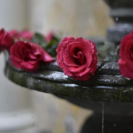 Hotel Provincia San Cristóbal de Las Casas Kültér fotó